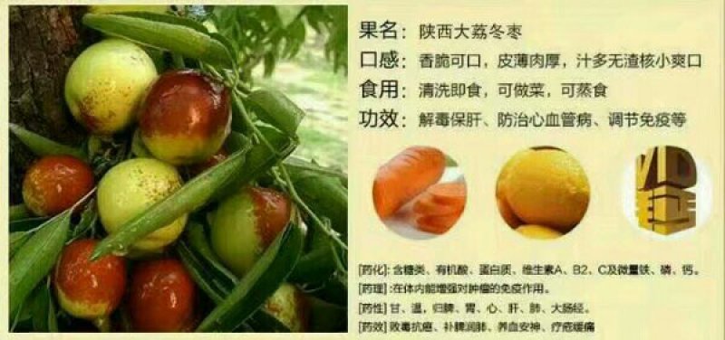 陕西大荔冬枣