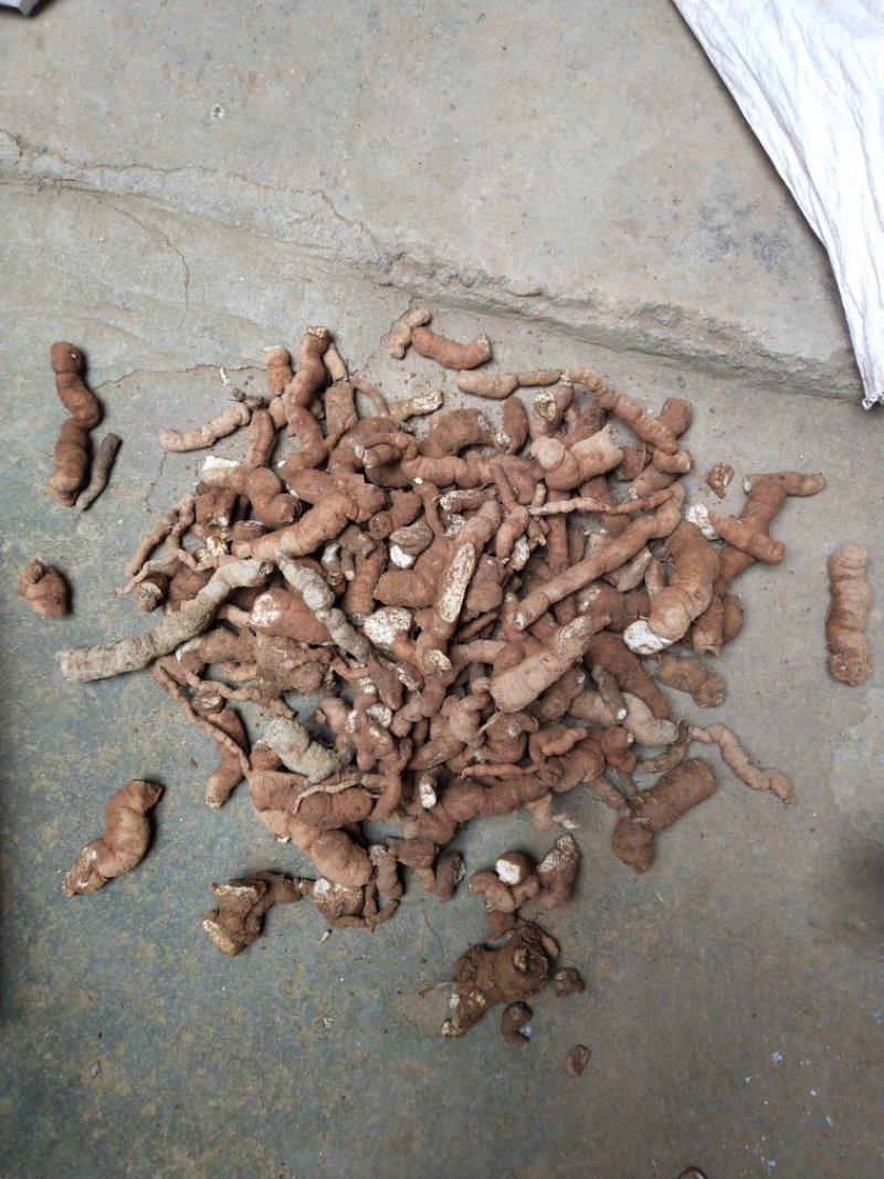 防己鲜货种茎