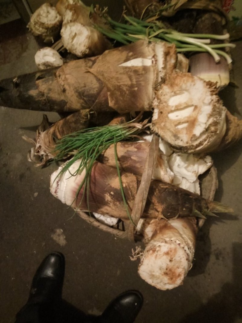 水煮笋干淡笋干用于酒店夜宵餐厅。味道鲜美。