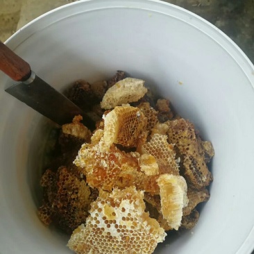 好货等你来