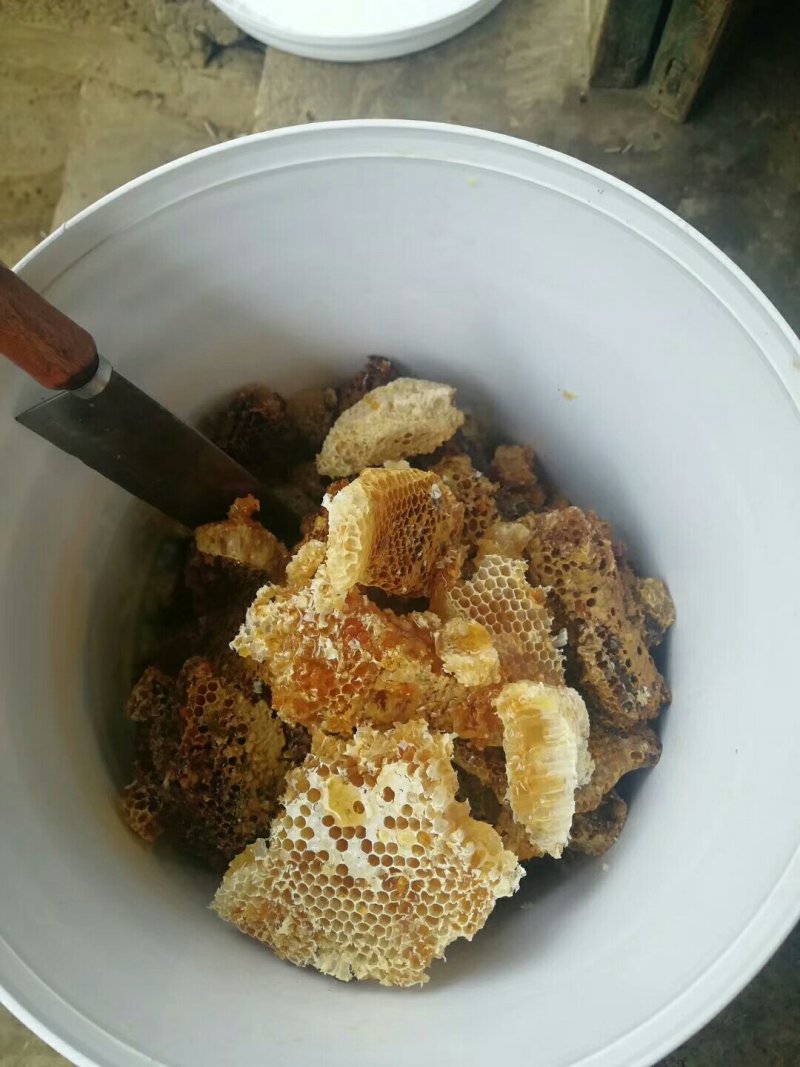 好货等你来