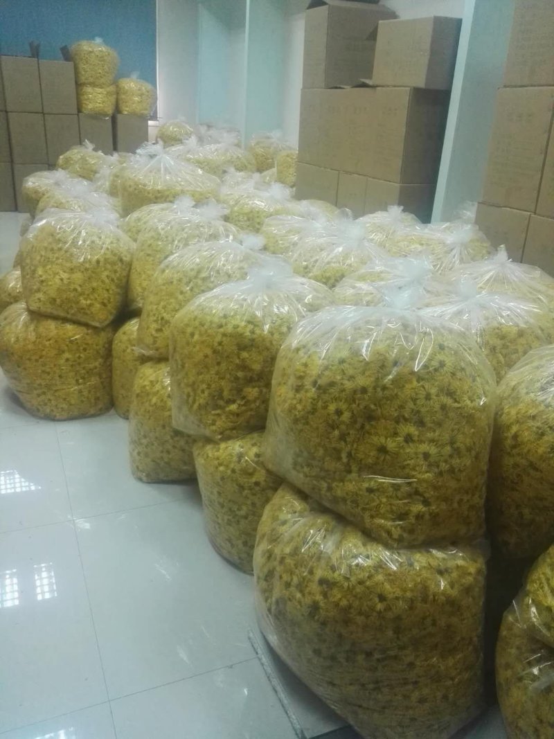 修水金丝皇菊大菊花茶茶叶一朵一杯