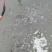 生态养殖泥鳅