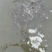 生态养殖泥鳅