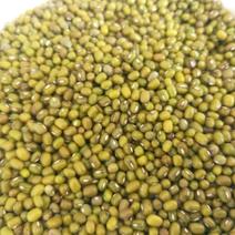 绿豆，中小颗粒大小，饱满度高，欢迎大量采购