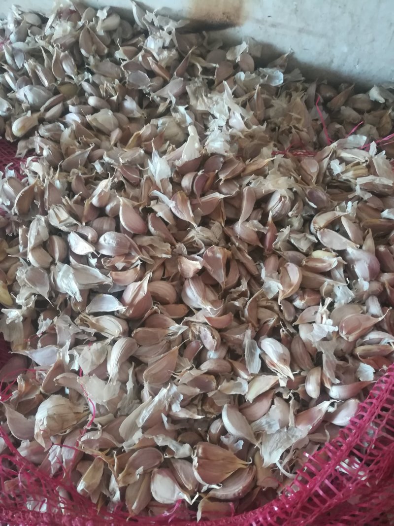 山东单县苔蒜(川蒜)瓣一车发走