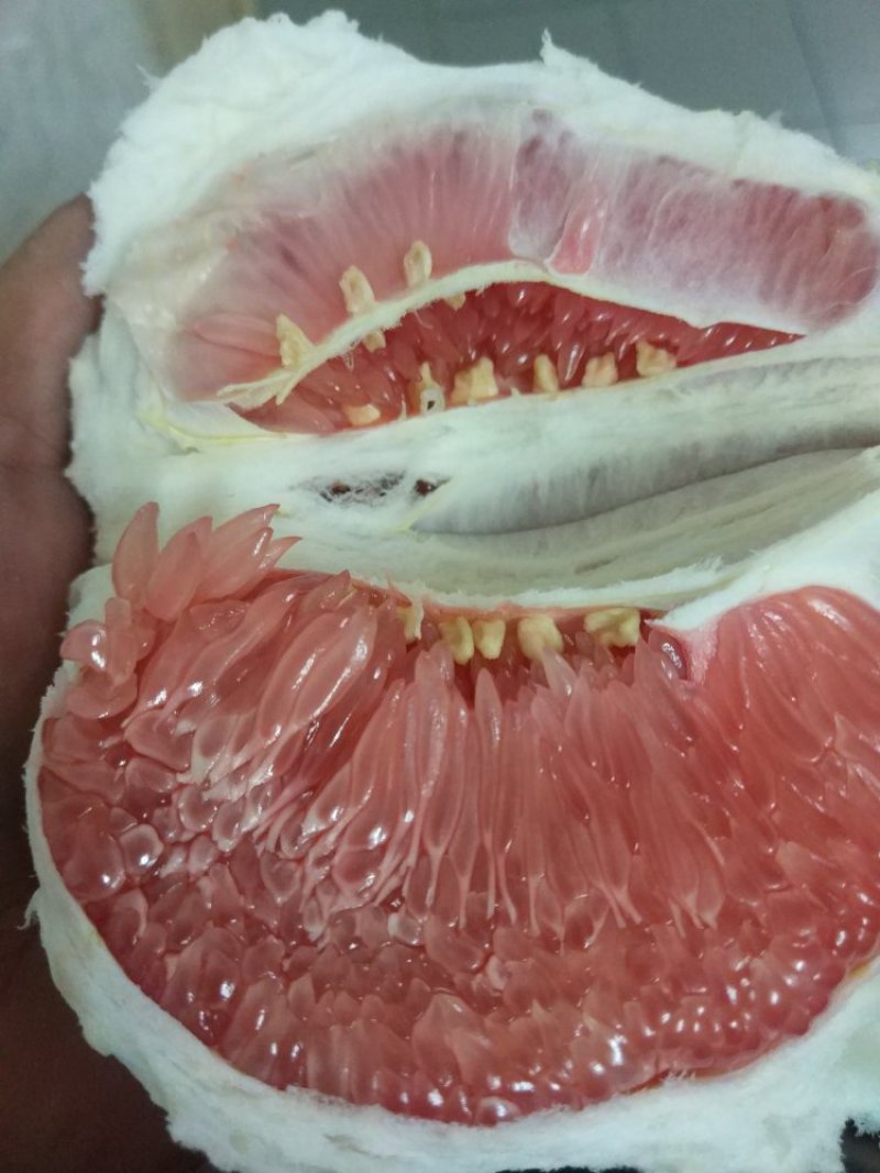 琯溪蜜柚