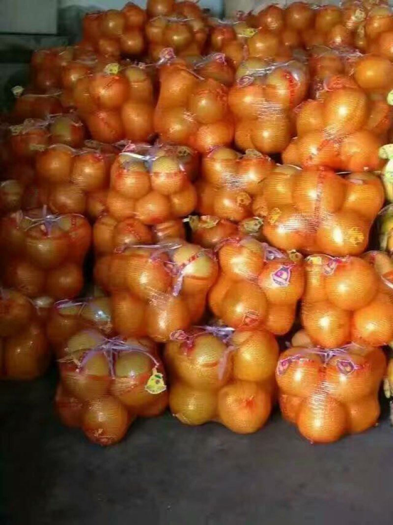 琯溪蜜柚