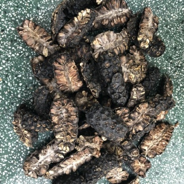 诺尼果整柜发货，一柜15吨左右