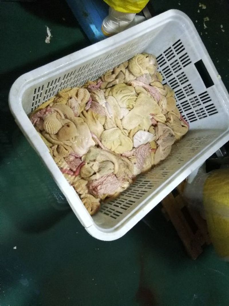 羊后腿绵羊肉是