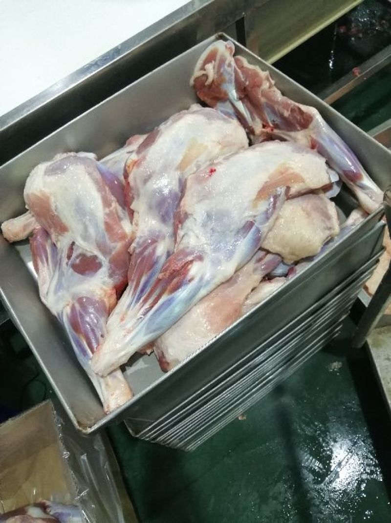 羊后腿绵羊肉是