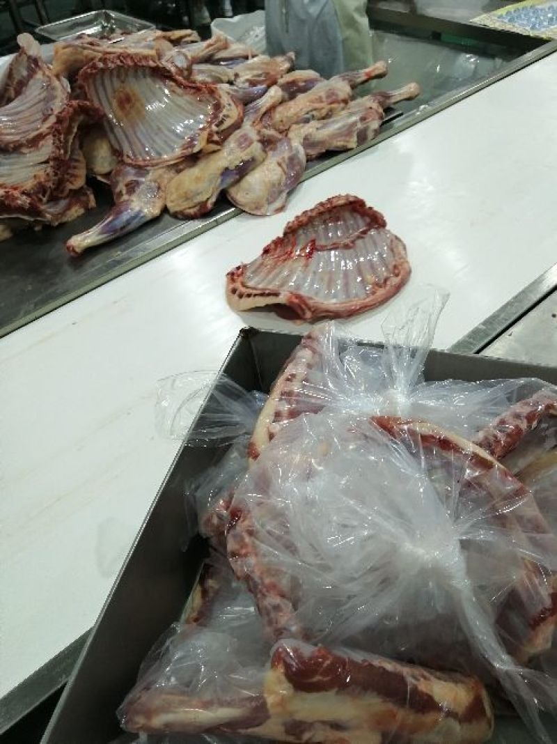 羊后腿绵羊肉是
