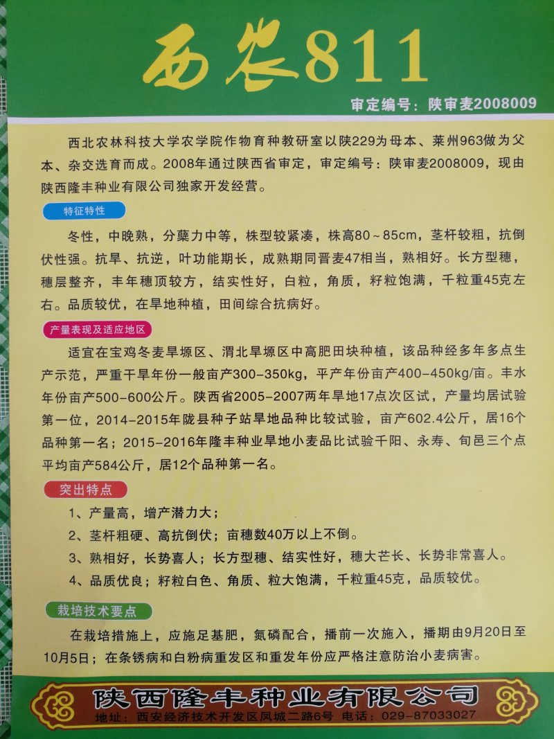 西农811旱地小麦产量高西北农林科技大学研制
