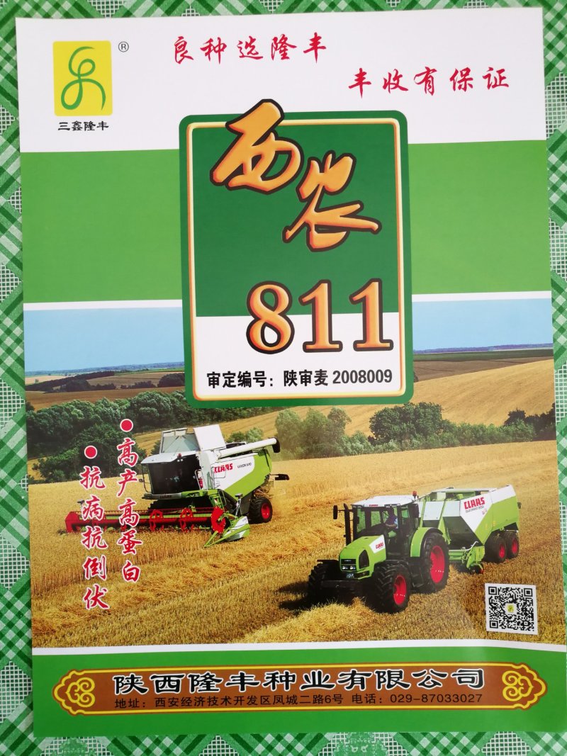 西农811旱地小麦产量高西北农林科技大学研制