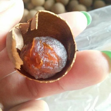 一级靓货桂圆干，龙眼干包装
