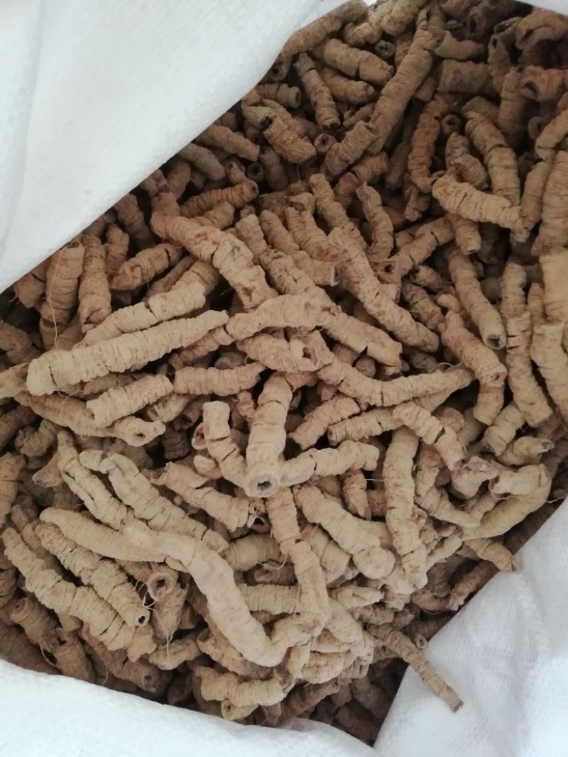 巴戟天，特级手选货