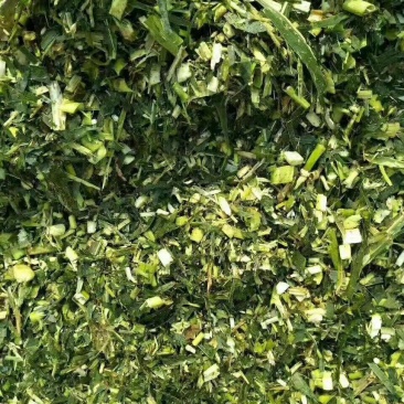 纯玉米秸秆青储