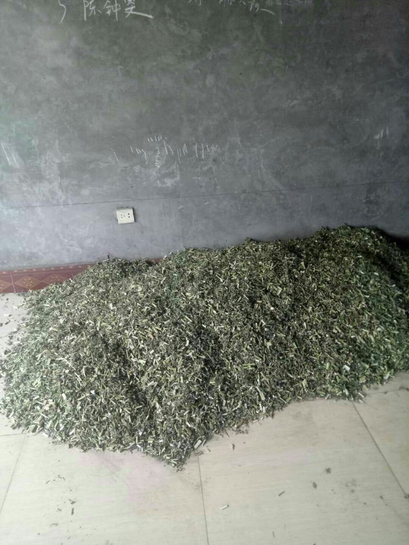 优质野生益母草