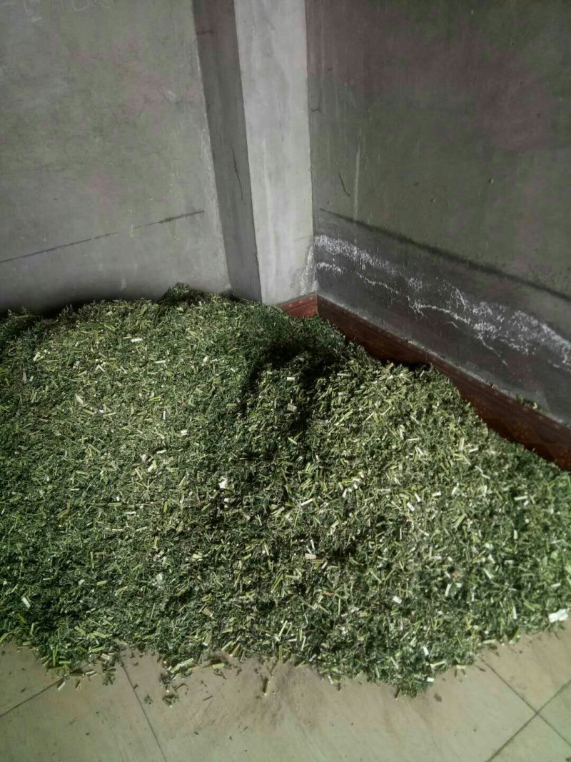 优质野生益母草