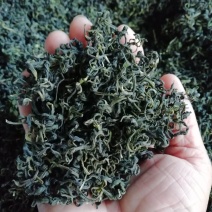 绿茶