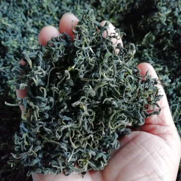 绿茶