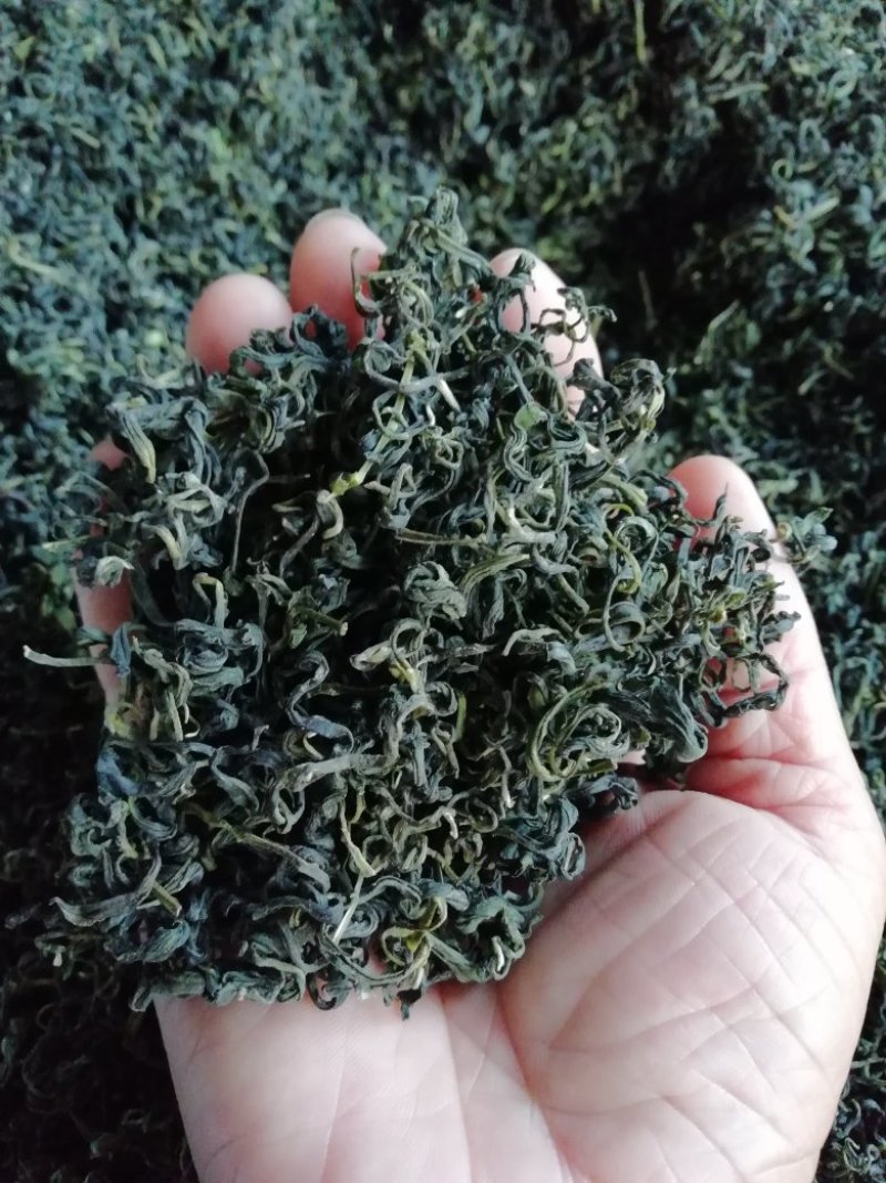 绿茶