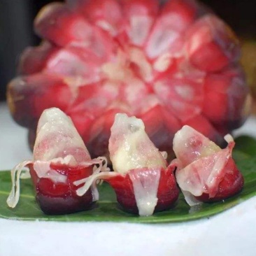 黑老虎