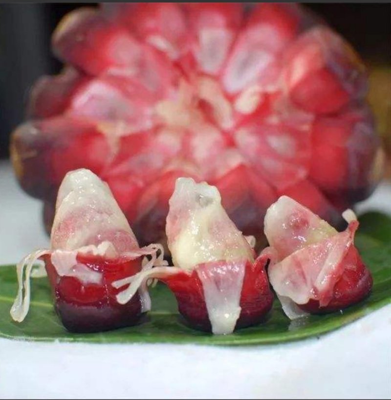 黑老虎