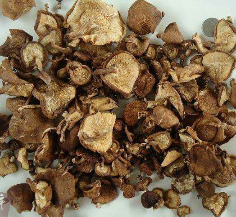 云南野生香菇椴木菇干货货源充足欢迎采购