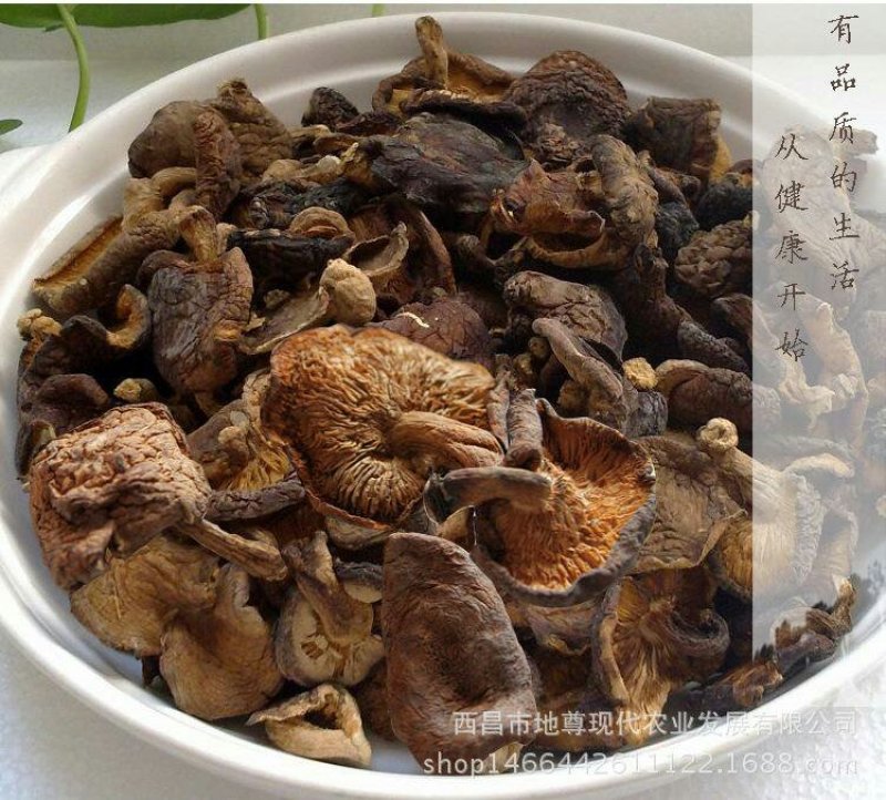 云南野生香菇椴木菇干货货源充足欢迎采购