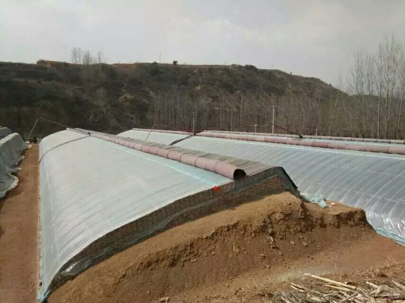 温室大棚，智能温室大棚，温室大棚骨架