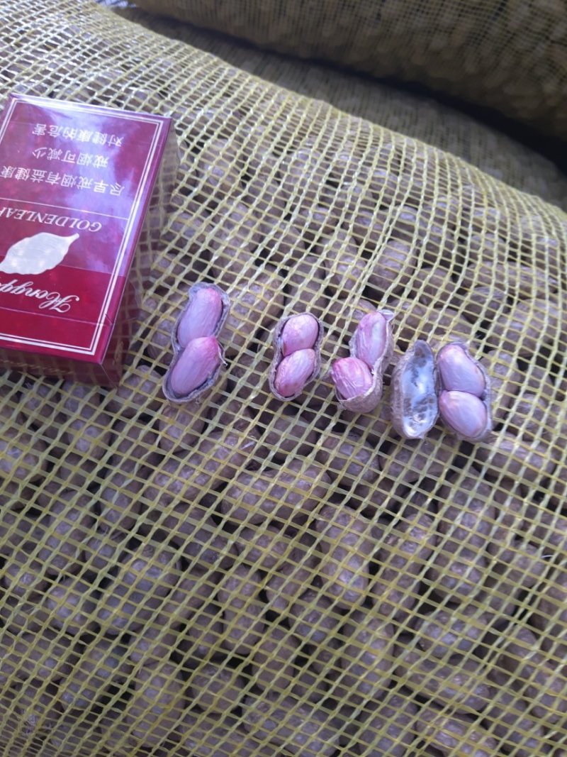 大白沙小白沙，鲁花湿花生水洗，电商商超手选果带壳批发商，