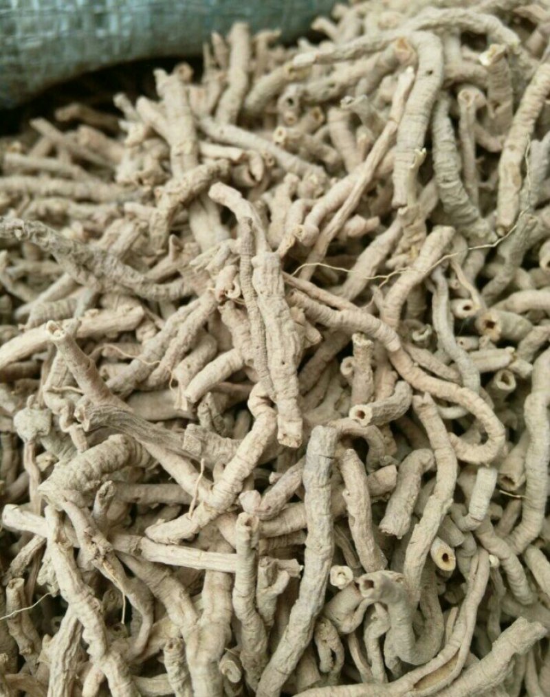 远志抽芯选货含量高量大从优健康至上莫贪便宜