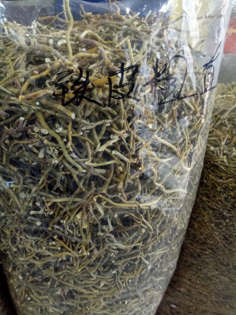 浙江铁皮石斛条胶质好量大从优欢迎选购