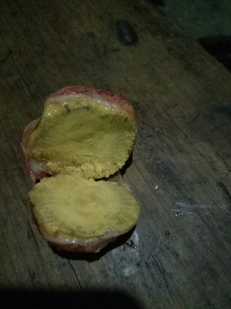 鸡宝