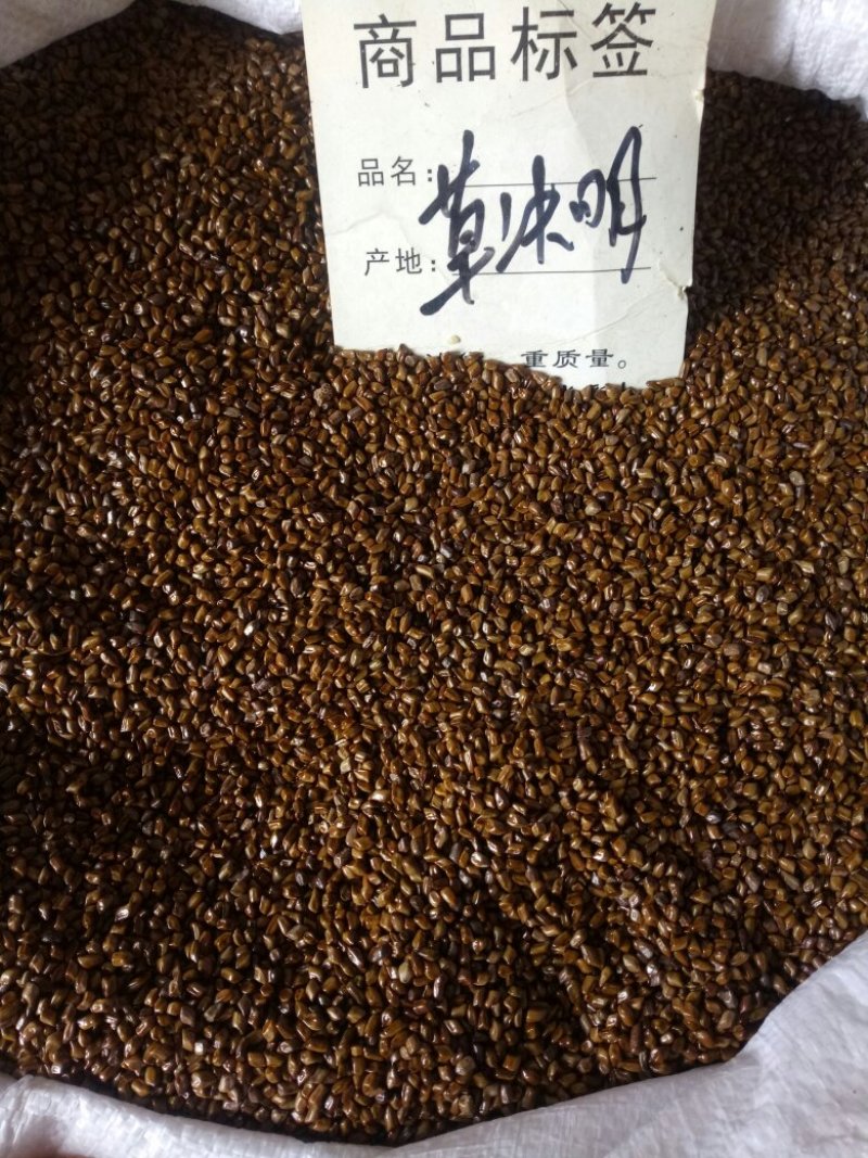 决明子国产大粒决明子欢迎选购！量大从优！