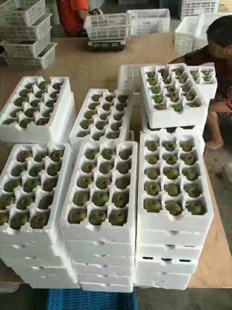 四川苍溪县红心猕猴桃奇异果70克起标准大果红阳猕猴桃