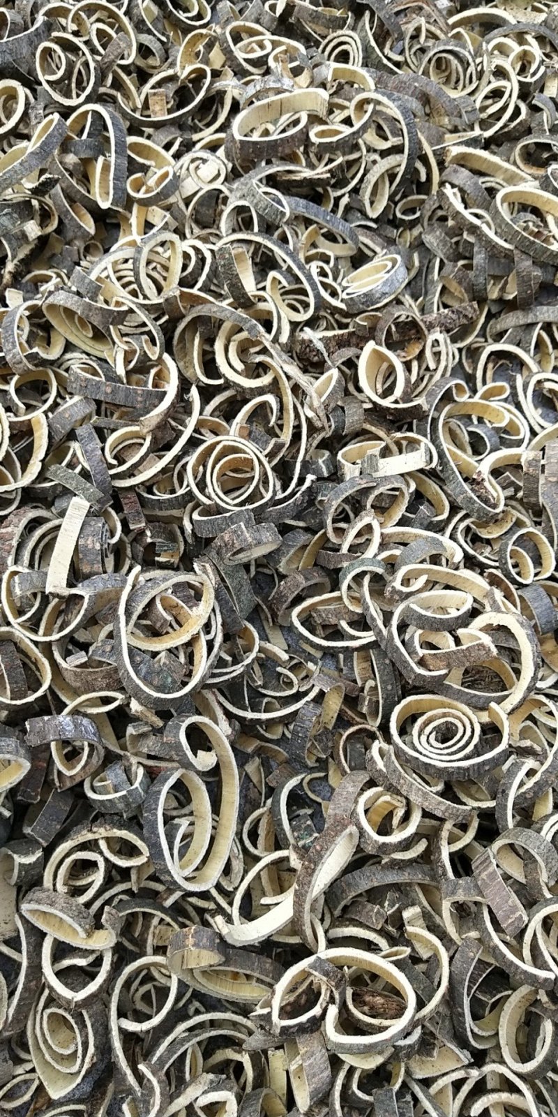 合欢皮（鲜皮加工炕干精品）
