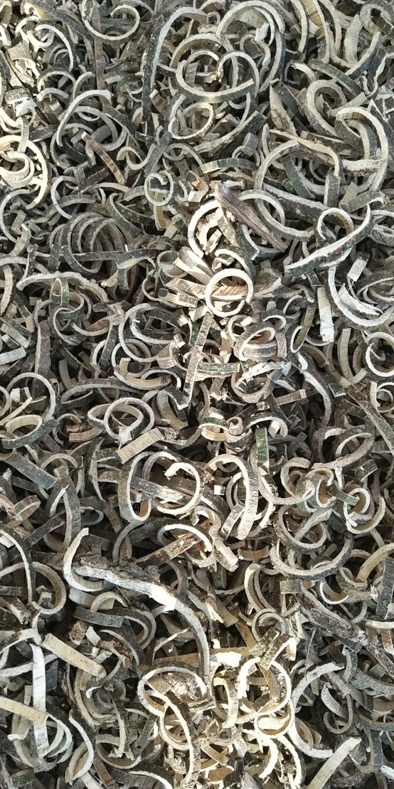 合欢皮（鲜皮加工炕干精品）