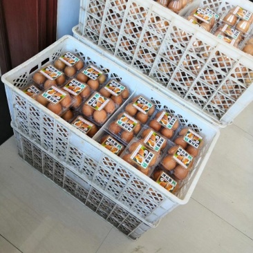 小帅家特色“麻酱·烤鸡蛋”