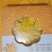 菊花茶