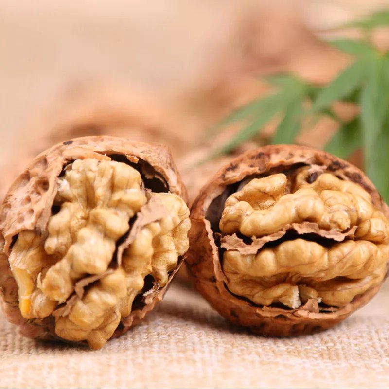 核桃种子薄皮核桃种香玲核桃