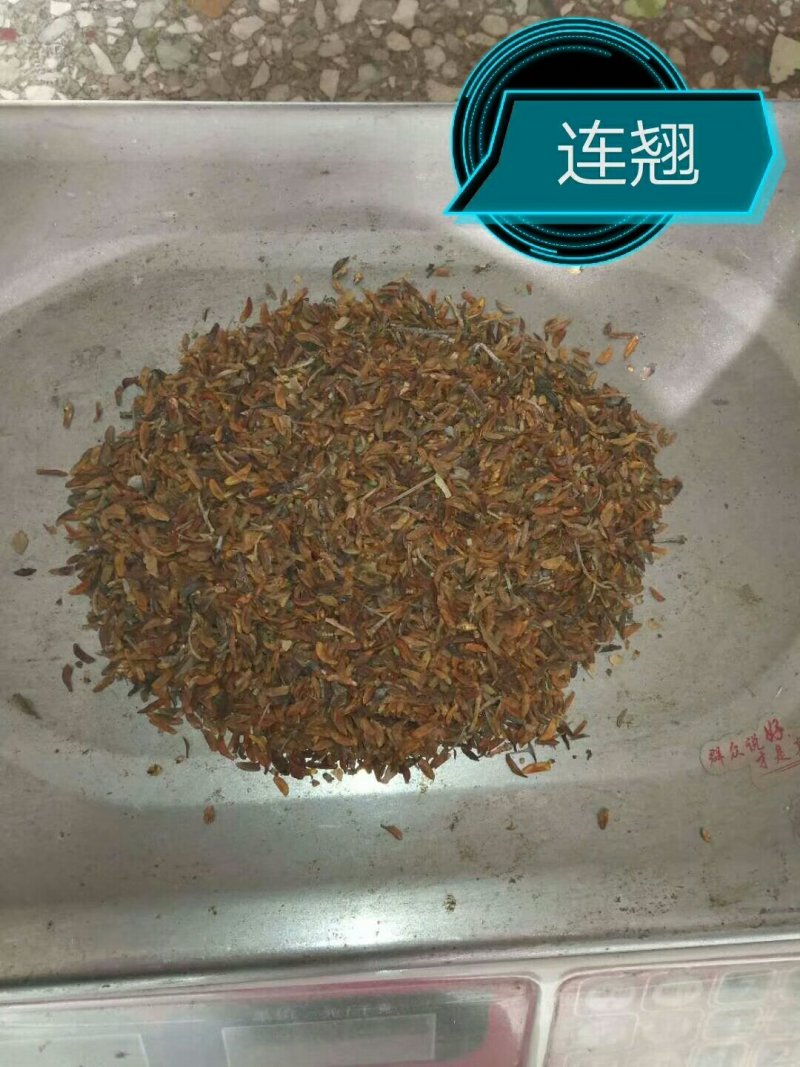 各种种籽