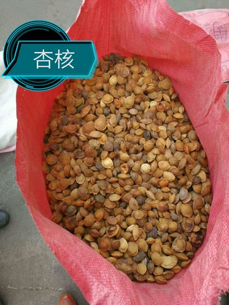 各种种籽