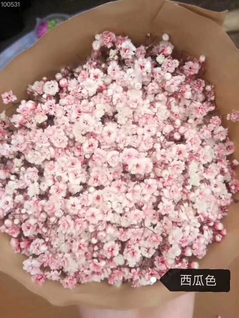 全国供应各种鲜花