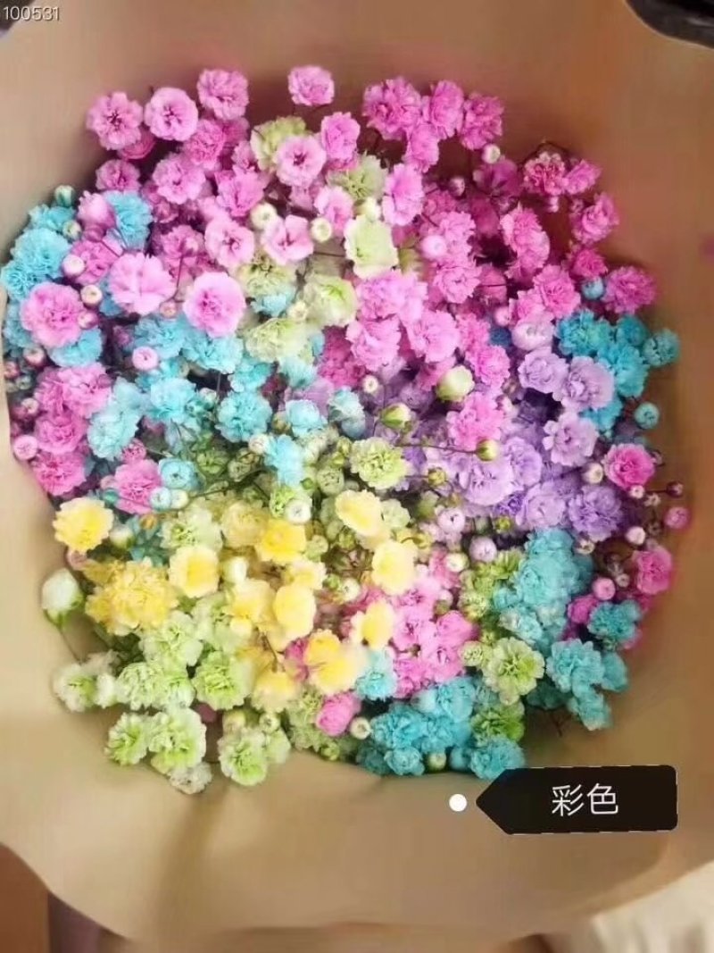 全国供应各种鲜花