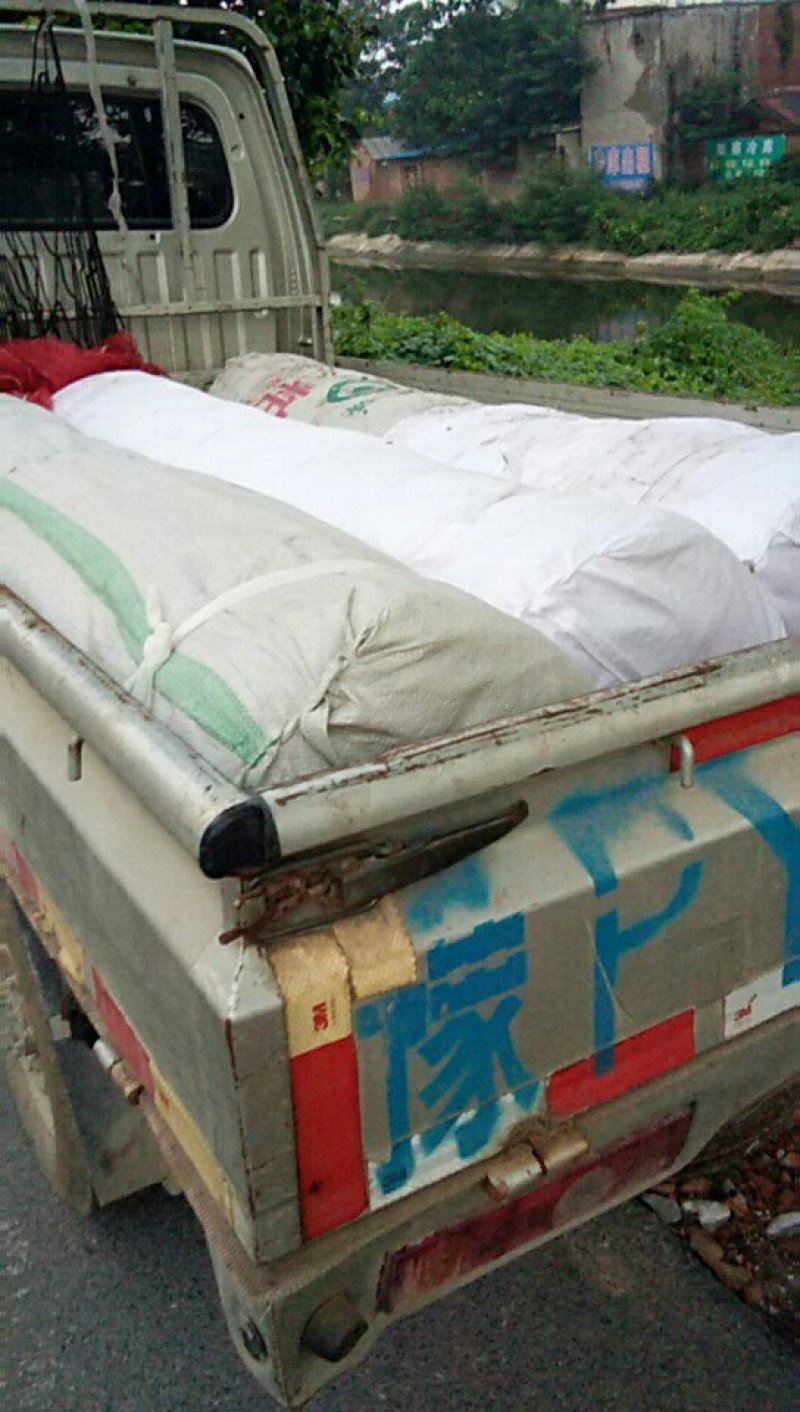 防虫网