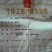 美国红枫芽苗，秋火焰95%以上各种，小苗，种子