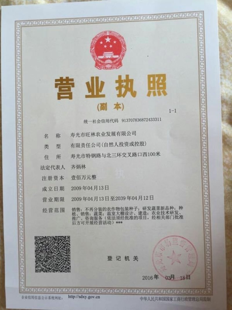 寿光越冬耐寒传奇676强雌油亮型黄瓜种子1000粒/袋