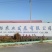 寿光越冬耐寒传奇676强雌油亮型黄瓜种子1000粒/袋